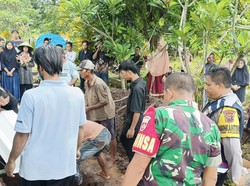 Reno yang Ditemukan Tinggal Tengkorak di Purbalingga Dikenal Pendiam