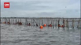 VIDEO: Pembongkaran Pagar Laut Misterius di Tangerang