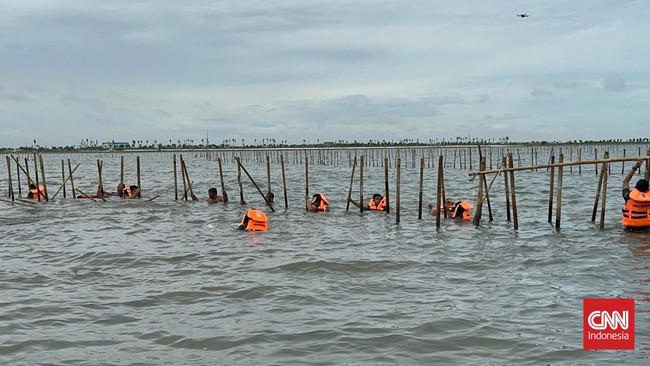 Bareskrim Polri menyebut ada keterlibatan pegawai kementerian dan lembaga terkait di kasus pemalsuan sertifikat pagar laut di Tangerang.