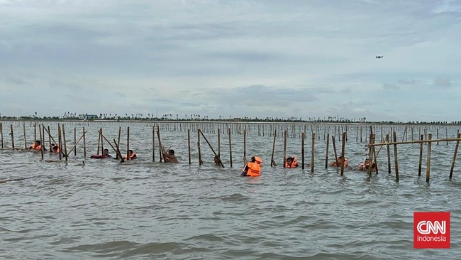 Warga bergotong royong dengan TNI AL membongkar pagar laut di Kabupaten Tangerang, Sabtu (18/1).