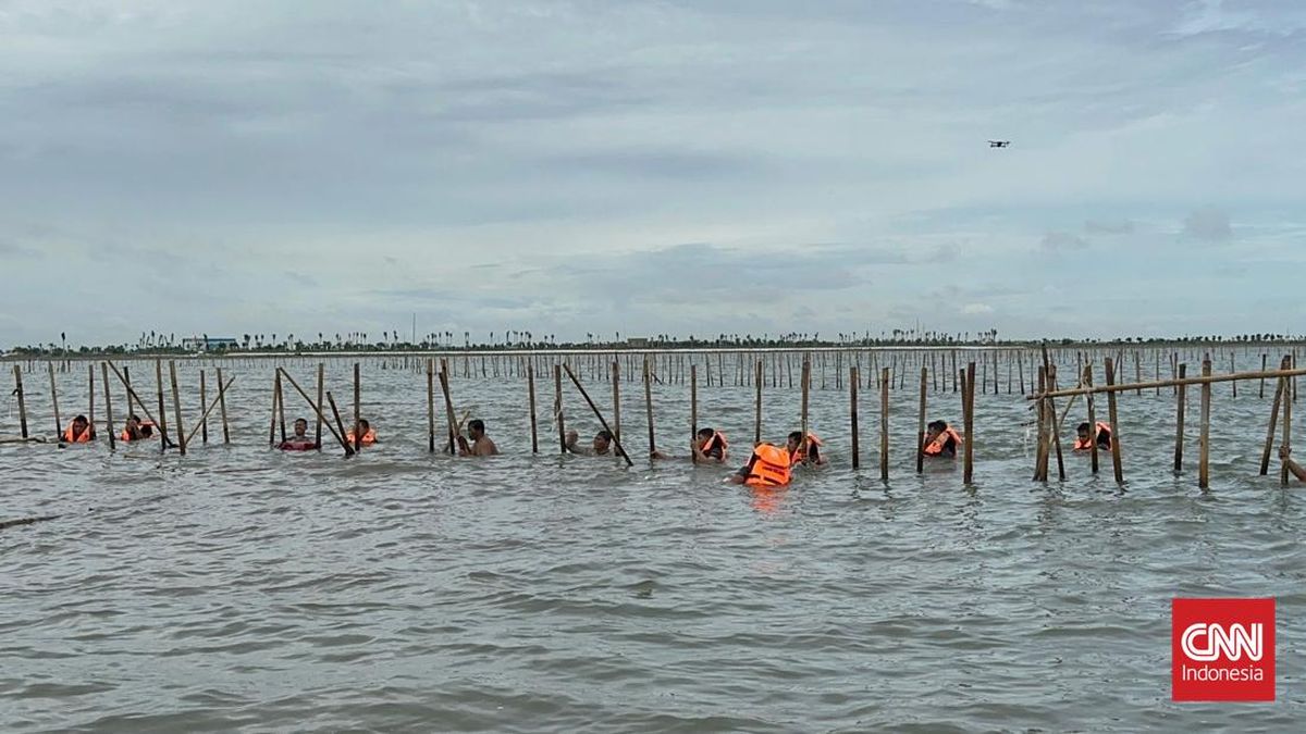 Pagar Laut Tangerang Sudah Terbongkar 11,75 km