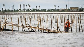 Polri Kerahkan 154 Anggota Bongkar 300 Meter Pagar Laut Tangerang
