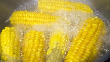 7 Manfaat Tak Terduga Air Rebusan Jagung, Bikin Tubuh Sehat