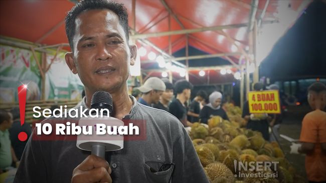 Diburu Para Pembeli, Omzet Penjual Durian Capai Rp30 Juta Per Hari