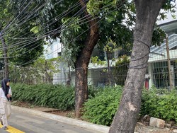 Warga Keluhkan Kabel Menjuntai hingga Trotoar di Jaksel: Bahaya Banget