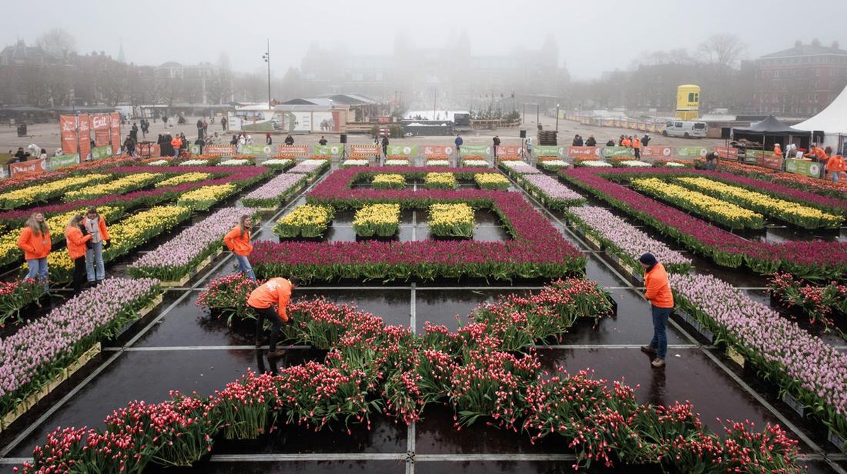 FOTO: Warna-warni Perayaan Hari Tulip di Belanda