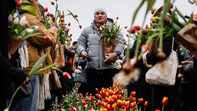 FOTO: Warna-warni Perayaan Hari Tulip di Belanda