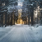 7 Daftar Kota yang Dinobatkan sebagai Kota Terdingin di Dunia, Tertarik Berkunjung?