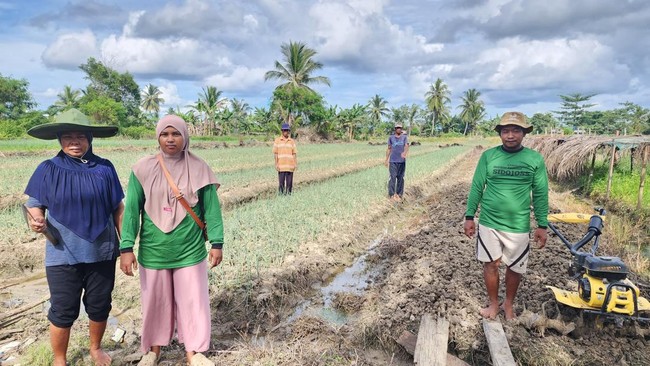 Program KlasterkuHidupku BRI bantu petani di Merauke, Papua tingkatkan hasil panen lewat pendanaan, alat, dan pelatihan, mendorong kesejahteraan bersama.