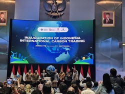 Perusahaan Asing Ikut Bursa Karbon RI, Ini Tantangannya
