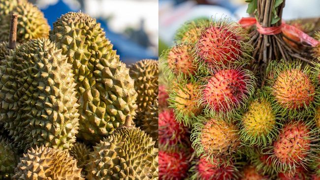 Durian dan rambutan sedang dalam masa panen. Kedua buah ini disukai banyak orang, tapi hati-hati jangan dimakan bersama karena bahaya untuk kesehatan.