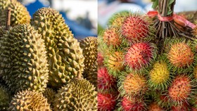 Bahayakan Kesehatan, Durian dan Rambutan Tak Boleh Dimakan Bersamaan