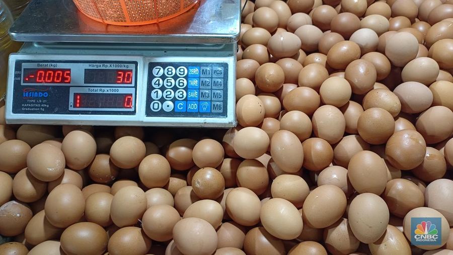 Manfaat Mengonsumsi Telur