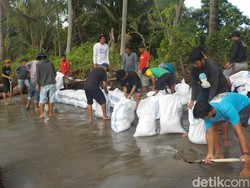 Warga di Polman Bikin Tanggul Darurat 300 Meter dari Karung demi Cegah Abrasi
