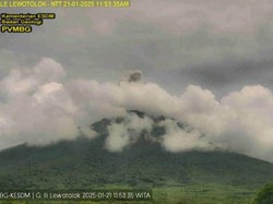 Gunung Ile Lewotolok Meletus Siang Ini, Muntahkan Kolom Abu 400 Meter