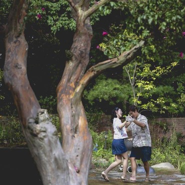 Jadwal Tayang Film 'No Other Choice', Dibintangi Lee Byung Hun dan Son Ye Jin