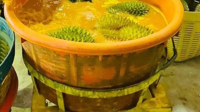 100 Kontainer Durian Thailand Ditolak Karena Mengandung Pewarna Kimia