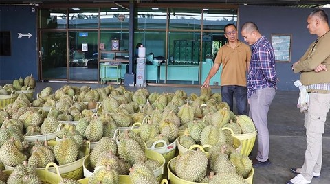 100箱泰国榴莲被中国拒收，损失数千亿，原因在这里