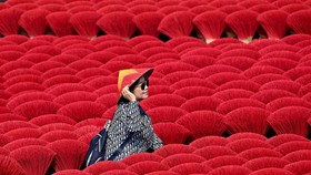 FOTO: Melihat Quang Phu Cau, Desa Dupa yang Estetik di Vietnam