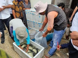 Tawaran Bapak Asuh Mengalir buat Kopdes Merah Putih