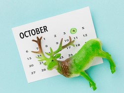 12 Nama Bulan dalam Bahasa Inggris dari Januari sampai Desember dan Sejarahnya