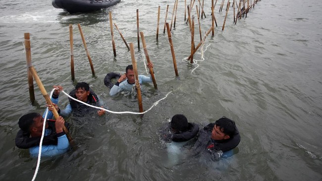 TNI Angkatan Laut berbareng lembaga mengenai dan nelayan telah membongkar pagar laut terlarangan di wilayah pesisir Tangerang sepanjang 18,7 km per Senin (27/01).