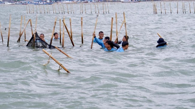 Bareskrim Polri memeriksa full tujuh orang saksi dalam kasus dugaan tindak pidana pagar laut misterius di perairan Tangerang, Banten.