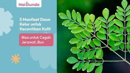 Detik Network