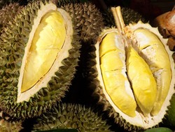 4 Fakta Durian Vietnam yang Nilai Ekspornya Kini Fantastis!