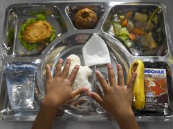 Stok Beras buat Makan Bergizi Gratis Harus Ditambah 4,5 Juta Ton
