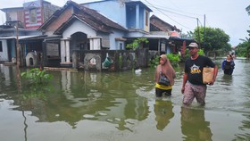 FOTO: Banjir Rendam 5 Desa di Kudus, 3.556 Jiwa Terdampak