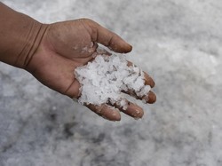 RI Masih Kekurangan Pasokan Garam, Mau Jadikan NTB Sentra Produksi