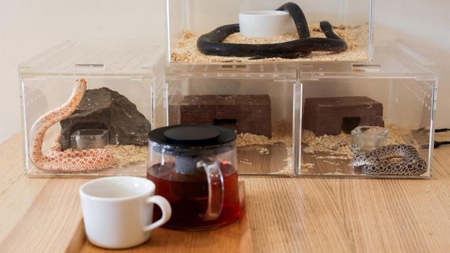 Ingin diet tapi tetap bisa ngopi? Ikuti lima cara minum kopi ini supaya berat badan turun tanpa harus meninggalkan minuman favoritmu.