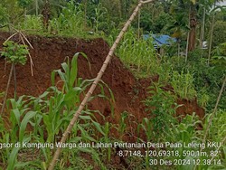 8 Rumah-27 Ha Lahan Pertanian Terdampak Tanah Bergerak di Manggarai Timur