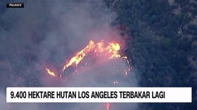 VIDEO: 9.400 Hektare Hutan Los Angeles Terbakar Lagi
