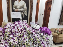 Kata PDIP soal Kado Ulang Tahun Prabowo ke Megawati