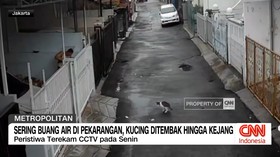 VIDEO: Sering Buang Air di Pekarangan, Kucing Ditembak Hingga Kejang