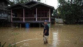 FOTO: Banjir Merendam Sepaku Kalimantan Timur