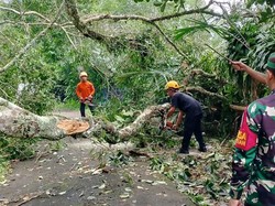 Karangasem Dilanda 38 Bencana Selama Sepekan, Kerugian Rp 415 Juta