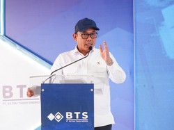 Wamen Investasi Beberkan 3 Modal RI Tarik Investor Kelas Global