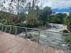 Destinasi Baru yang Mature di Puncak, Pas buat Libur Isra Miraj-Imlek