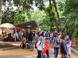 Hampir 150 Ribu Pengunjung Serbu Ragunan Selama Long Weekend Januari