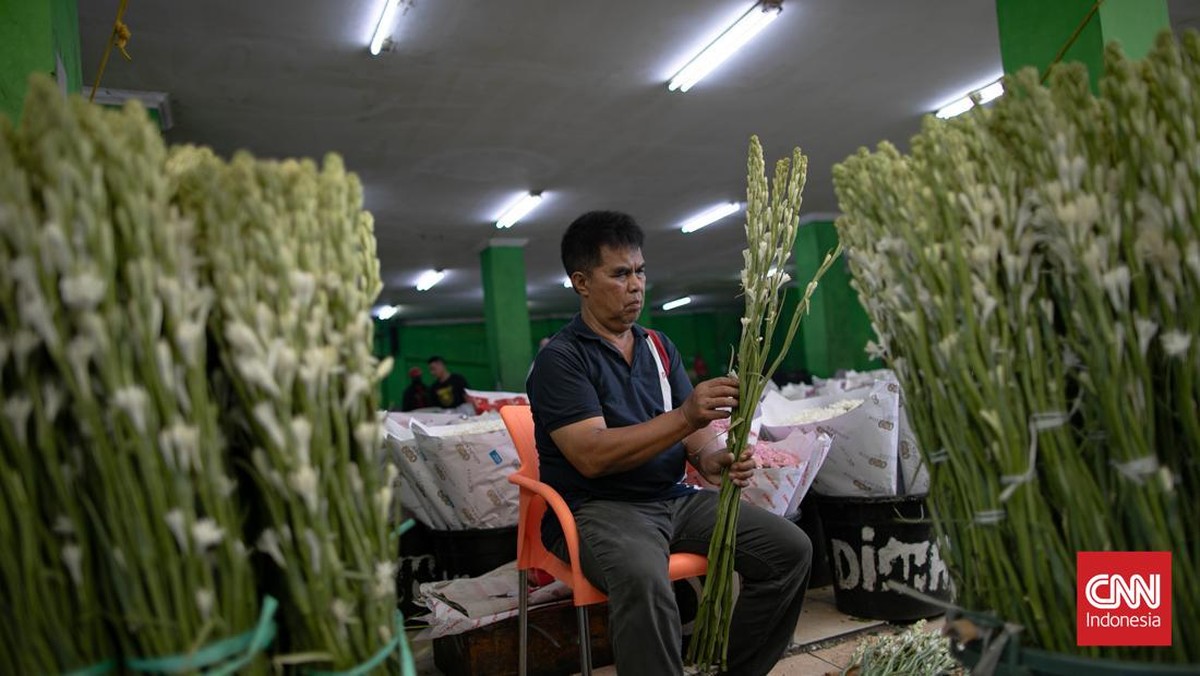 FOTO: Bunga Sedap Malam Laris Jelang Imlek