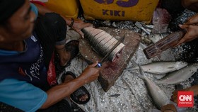 FOTO: Melihat Festival Ikan Bandeng di Rawa Belong