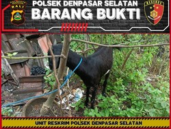 Ingin Pulang Kampung, Eks Karyawan Curi Motor-Kambing di Warung Babi Guling