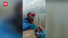 VIDEO: 6 Hari Bongkar Pagar Laut, Nelayan Kesulitan BBM dan Makan
