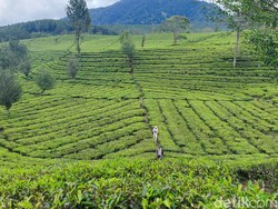 8 Tempat Wisata di Batang yang Lagi Hits, Indah, dan Instagramable