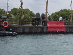 KKP Beberkan Alasan Segel Reklamasi di Pulau Pari