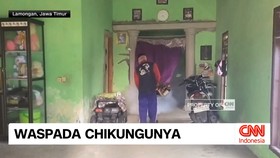 VIDEO: Musim Hujan Tiba, Waspada Chikungunya