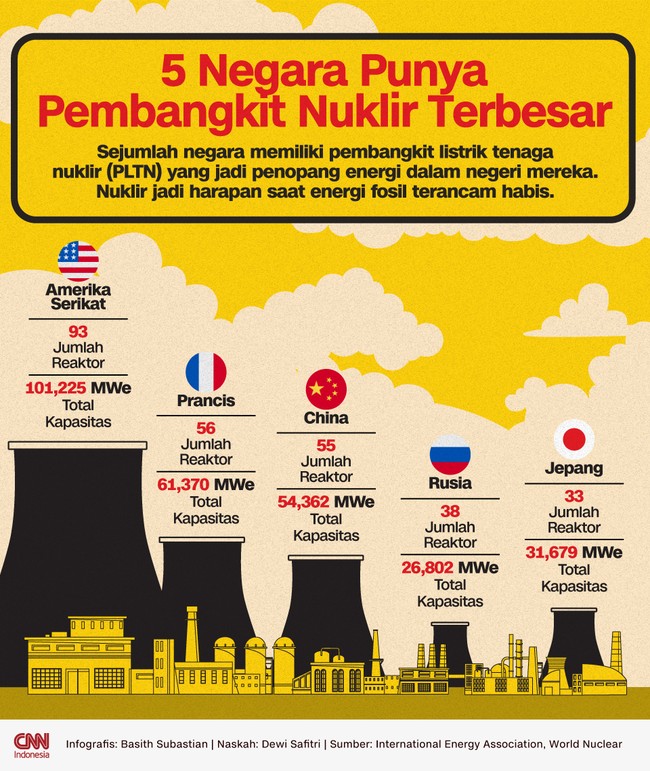 Sejumlah negara memiliki pembangkit listrik tenaga nuklir (PLTN) yang jadi penopang energi dalam negeri mereka.